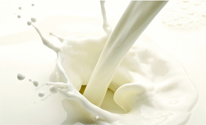 牛奶奶皮越厚 营养价值越高？