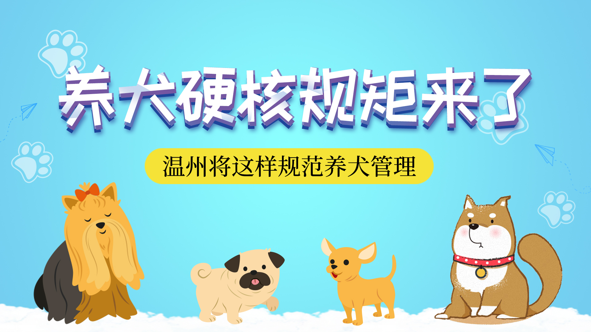 【专题】温州版养犬条例