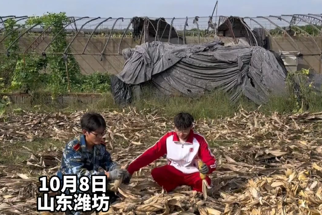 ɽһѧ87ףԼһĸٳһࡱ