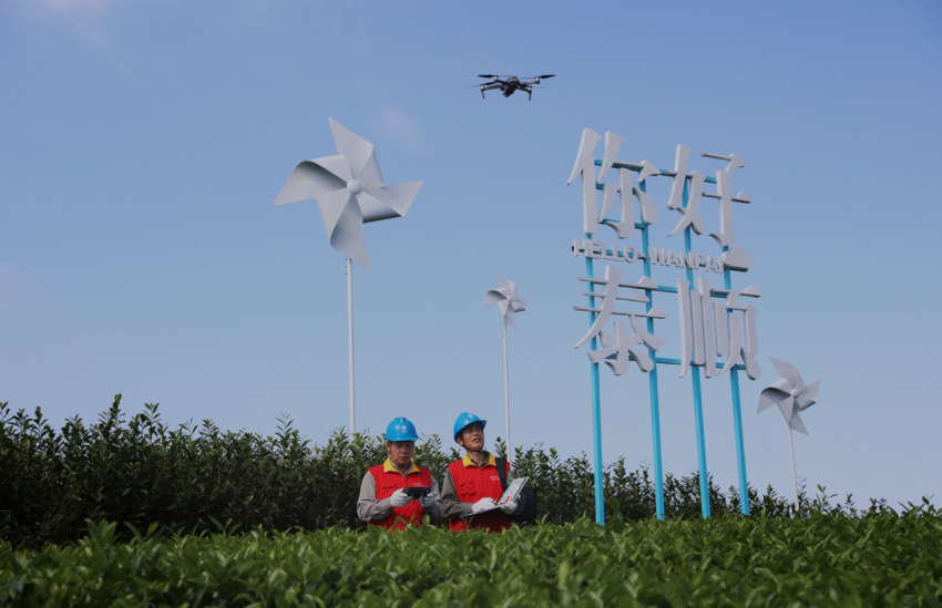 国网泰顺县供电公司:山水搭台唱好戏 “满格电”服务茶旅融合新发展
