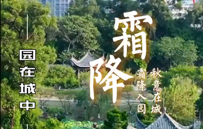 霜降至,秋意深;一城的风霜,藏进园的静谧