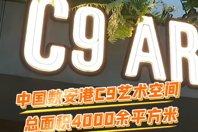 “强城行动”进行时|中国数安港老厂房变身艺术空间