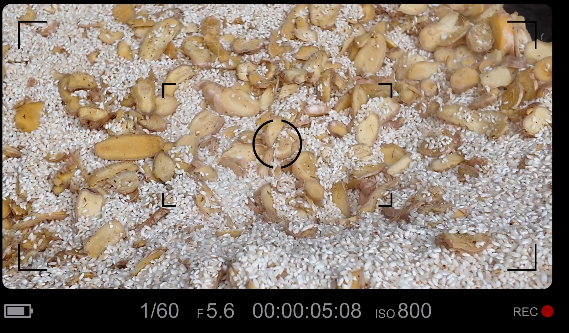 初尝乐清姜炒米一口爱上