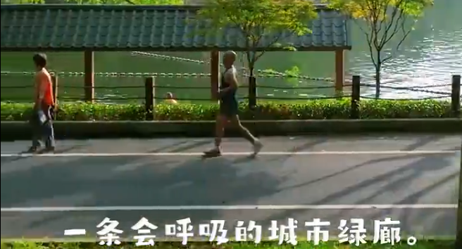 园在城中|城市的快节奏里,温州九山路留住一份园林的慢意