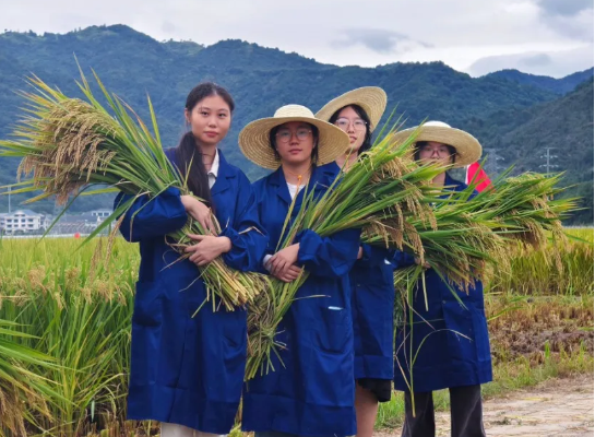 温科学子在金秋稻浪中书写成长密码