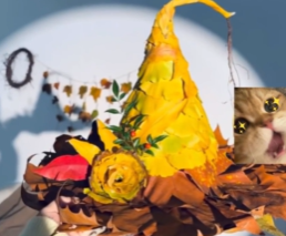 һŮӽҶħñѣ̫ˣ̳