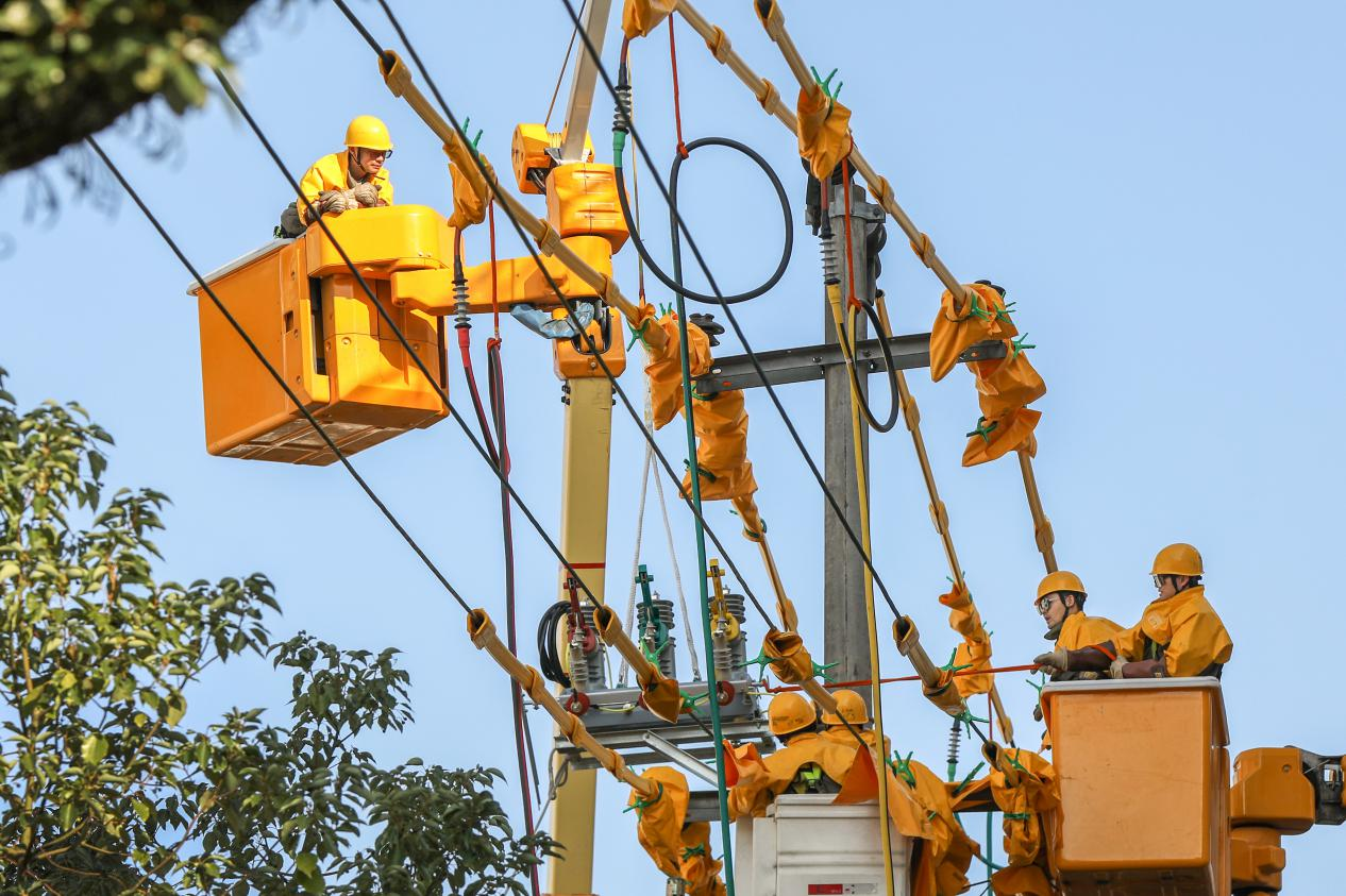 国网泰顺县供电公司首次采用旁路作业法完成负荷开关更换