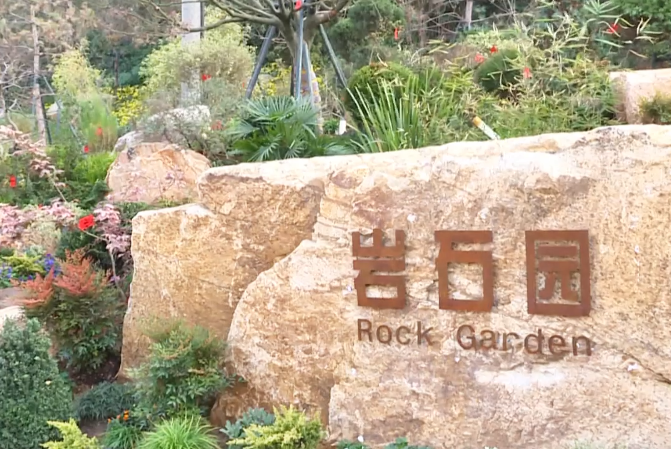 温州园博园岩石园落成 匠心营造“宛自天开”花境