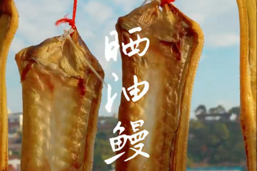 温州洞头:晒油鳗