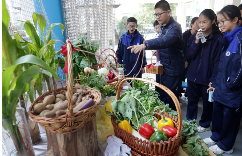 玩转劳动课,晒出新技能!