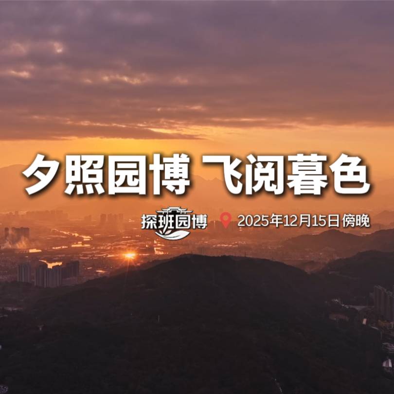 ��̽��԰����ɽˮ�й��ݽ������湤����ȫ�������β�׶�