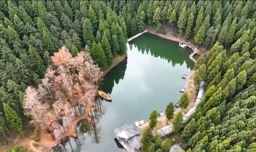 ���������������ĳ�������ɽ�ֳ��