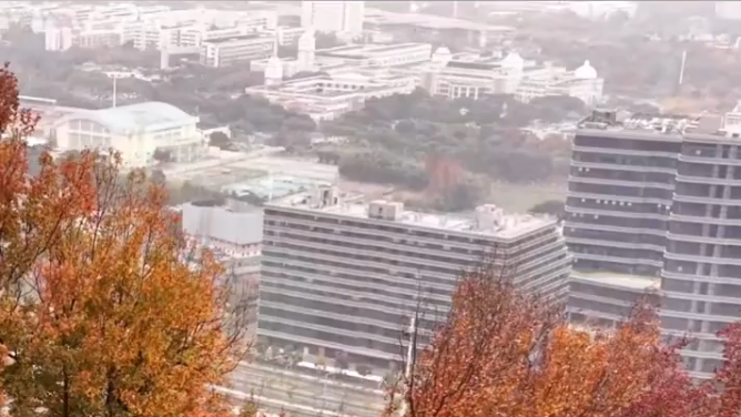 �������������Ӱ�� ���ݹ���12��25���붬��