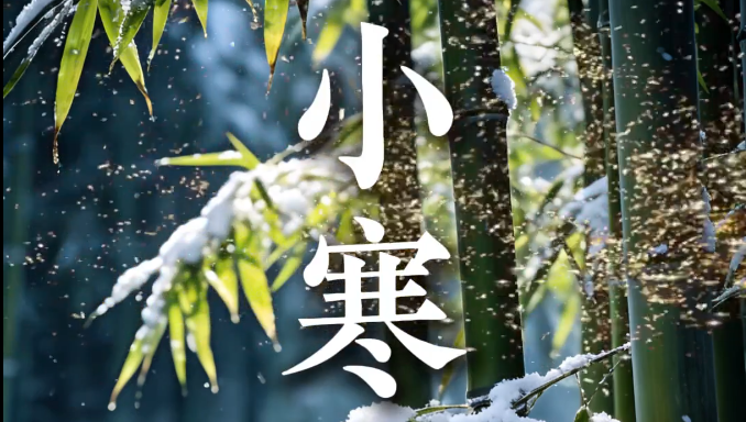 AI��Ƶ|����С��