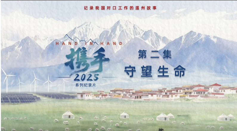 �¶ȼͣ���Я��2025���ڶ��� ��������