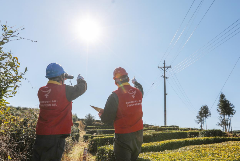 ��ǿ��·��Ѳ ���η�������