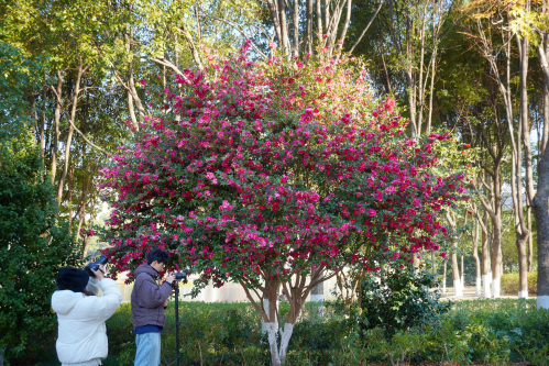 �ɽ��԰����÷�����������ޣ���ȥ�򿨣�