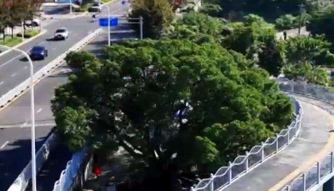 ���ݣ�Ϊһ������һ����