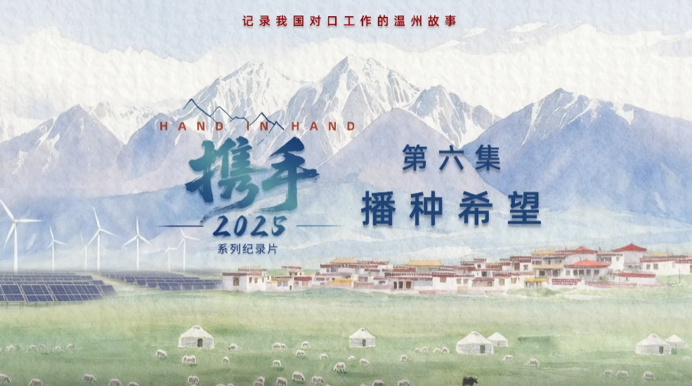 �¶ȼͣ���Я��2025�������� ����ϣ��