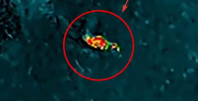 男子深陷淤泥,公安利用无人机热成像成功锁定