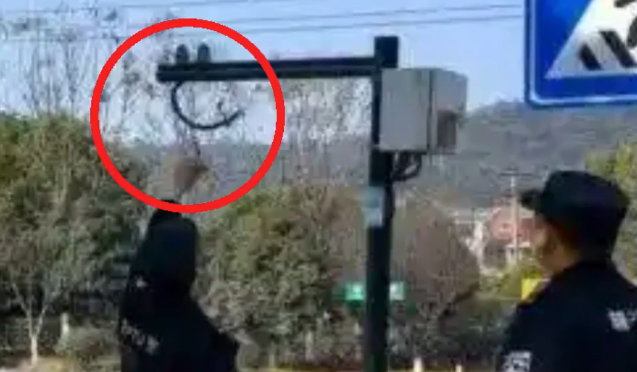 ���ϼ�ȱ������ͷ��������͵��������ͷ��ץ