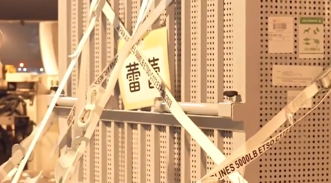 ���մ���è�������������١�ƽ���ִ��Ĵ�