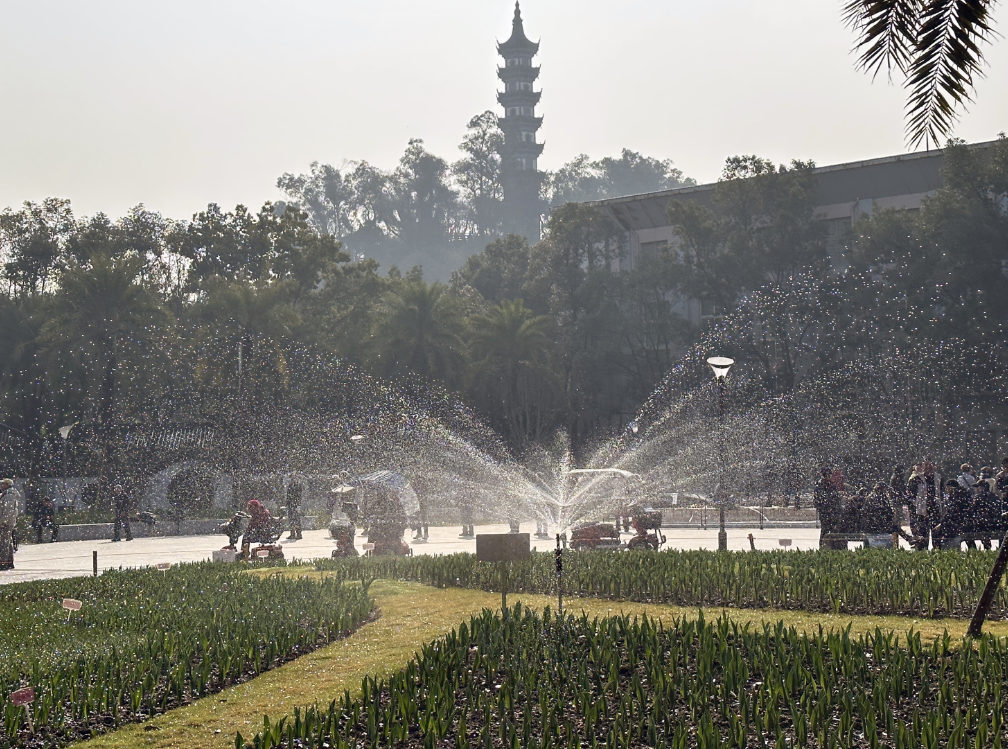 �����ع�԰��������չ�������������ϵͳͶ��ʹ��