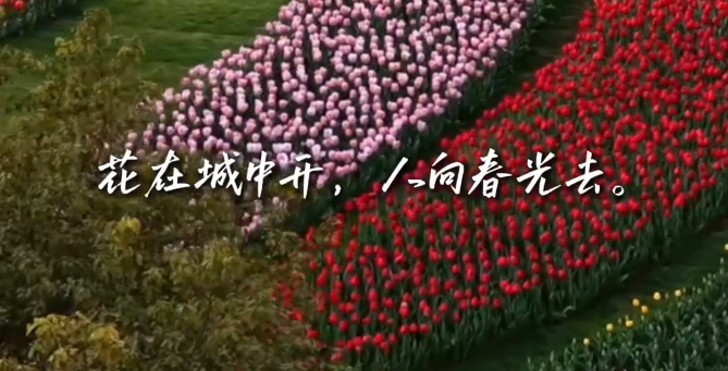 ԰�ڳ���|�����ص������� ������д����������