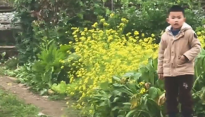 �������ˣ�С����Ҳ���Լ��ĵ���