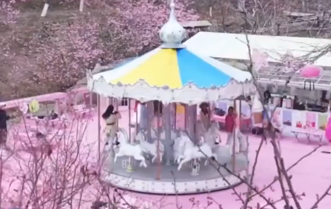 ����ӣ��԰�Ĵ����޶�����