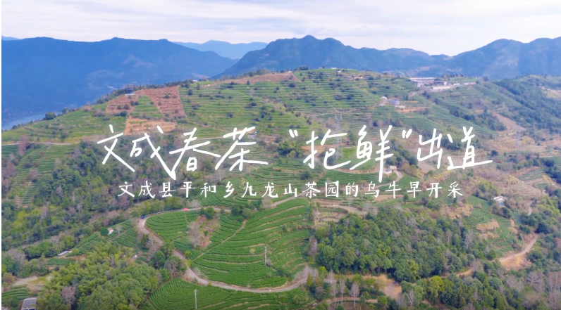 ͷ�翪�ɣ��ĳɴ��衰���ʡ�����