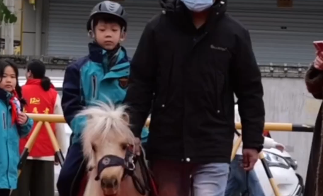 ��ѧ��һ�죬����һѧУǣ��һƥ����