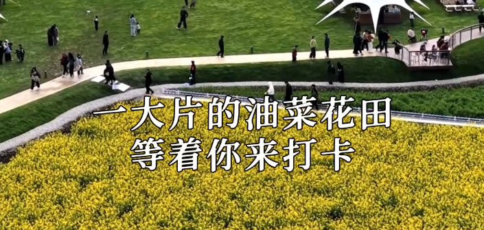 �⼸��������ô�ã���ȥ԰��԰������?