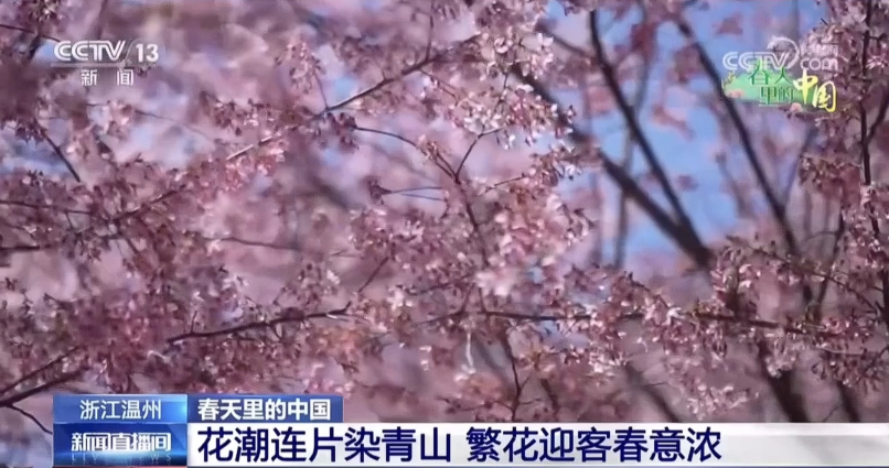 ��������ֱ�����ע����