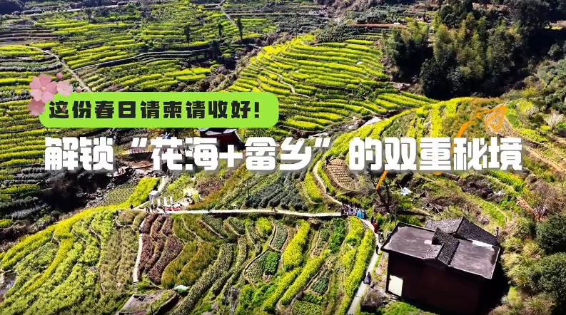 �ĳɣ��߲ʻ���׺��� �Ի�Ϊý��ȼ���վ���