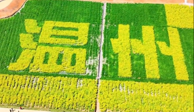 ����԰��԰��԰����Ƭ�Ͳ˻�������ۣ�������