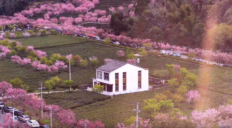 ������Ҳ���Լ���ӣ����ɽ