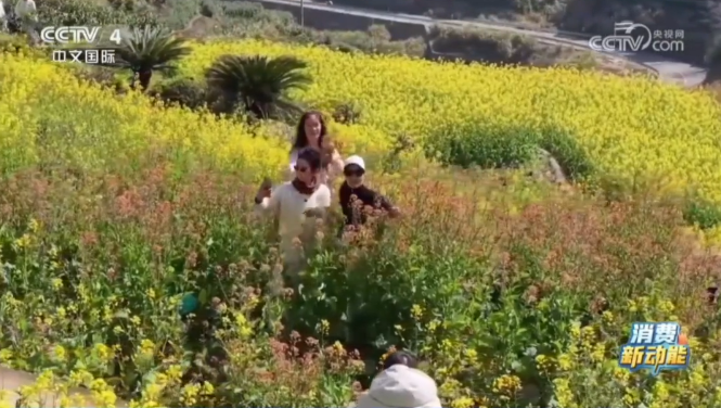 ���ӡ��й����š��۽������ĳ�