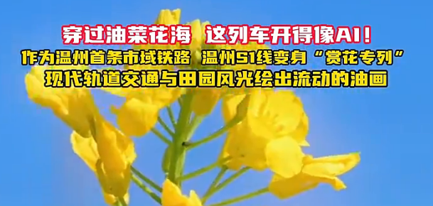 ��������������·�������ͻ�ר�С�