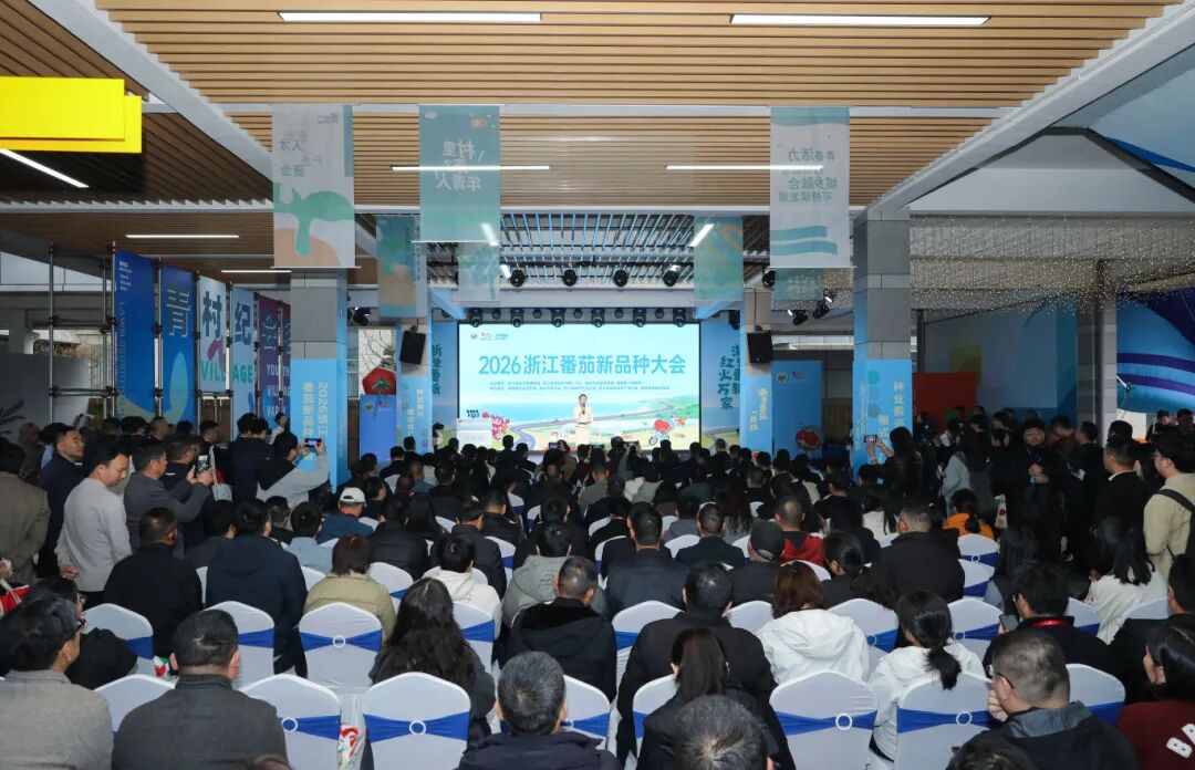 2026�㽭������Ʒ�ִ���ڲ����ٿ� �Ƽ����ܡ�����������ȫ��ҵ������