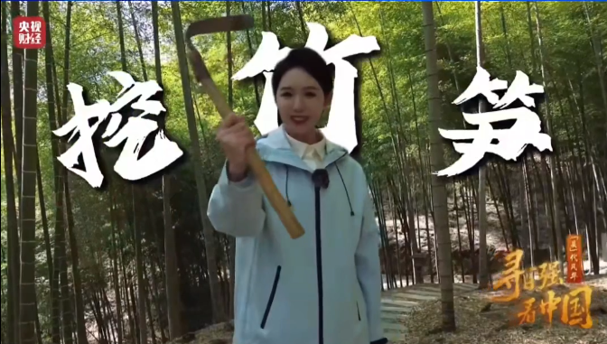 ���Ӳƾ���Ѱ��ǿ ���й�����ע����̩˳��һ�������˶���Ԫ���ҵ