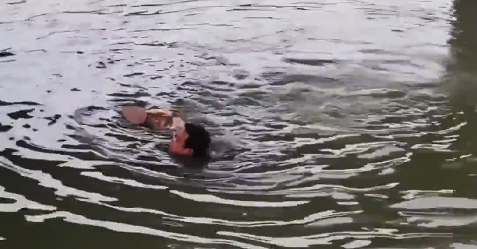 �̶̼��룬һ����������������һ����ͥ��ϣ��