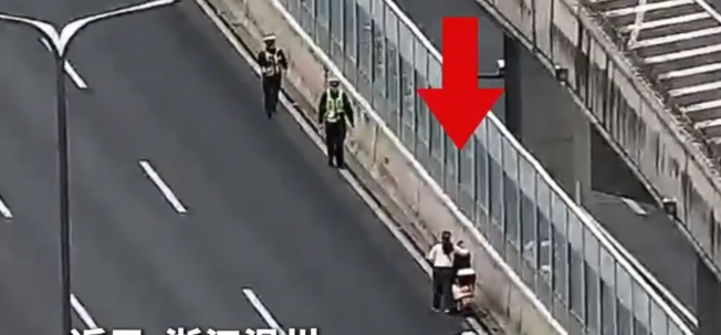 ���߷�Ů�����ŵ�ƿ�����ϸ߼ܣ����ݽ������ٸϵ�����