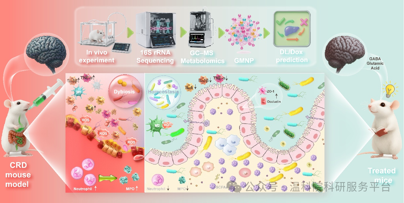 �¿�Ժ�����Ŷ�ȡ����ͻ�ƣ���Ƥʯ������ͨ���������ᡱ������֪�ϰ�