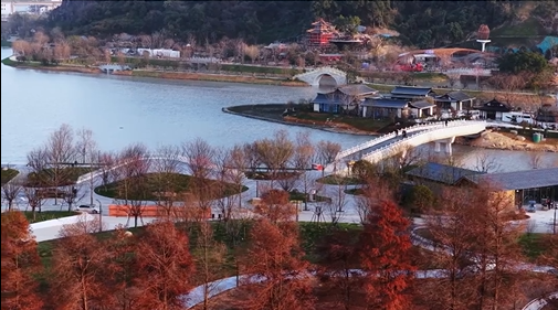 ԰����ƴ�ʦΪ��˵����Ľ���ݵ��ϰ���?