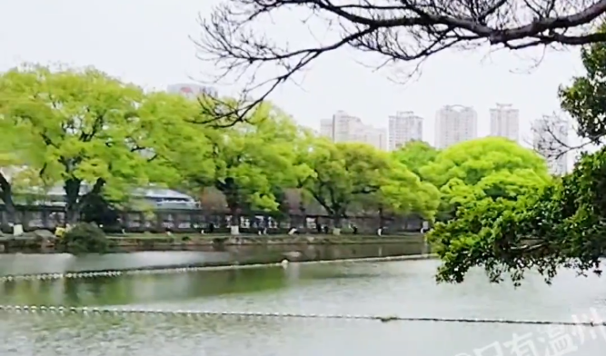 ǿ��������Ӱ�����ݣ�