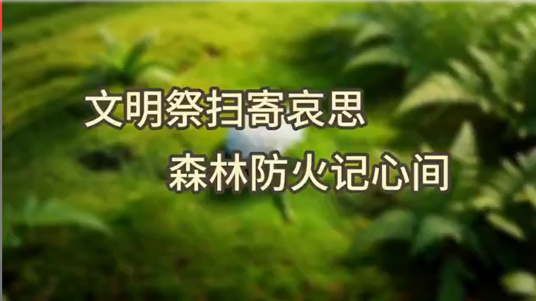 AI视频:文明祭扫寄哀思,森林防火记心间