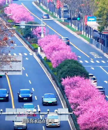 ����1����|���Ǽ�¼��һЩ���ݵĴ���