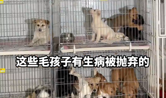 ��ɽ�����衱��15��Ϊ��400���������������л���