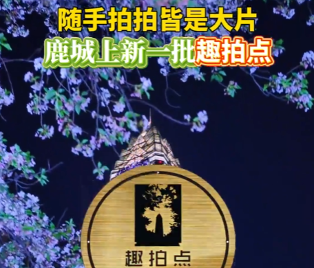 �������Ľ��Ǵ�Ƭ��¹������һ��Ȥ�ĵ�